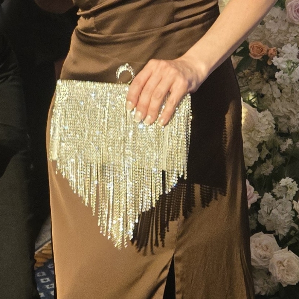 Silver Fringe Clutch